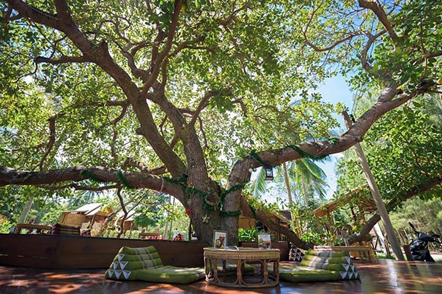 Coffee And Resort Koh Phayam Zewnętrze zdjęcie